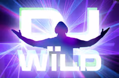 icon game for DJ Wild