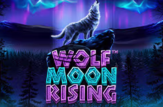 icon game for Wolf Moon Rising
