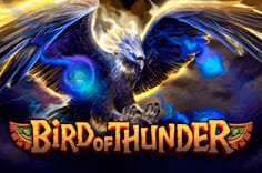 icon game for Bird of Thunder