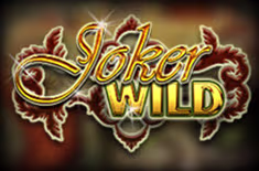 icon game for Joker Wild