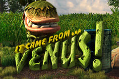 icon game for It Came From Venus