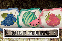 icon game for Wild Fruits