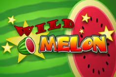 icon game for Wild Melon