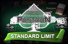icon game for Pontoon Pro - Standard Limit