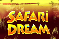 icon game for Safari Dream