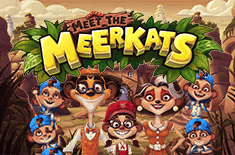 icon game for Meet the Meerkats
