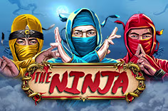icon game for The Ninja